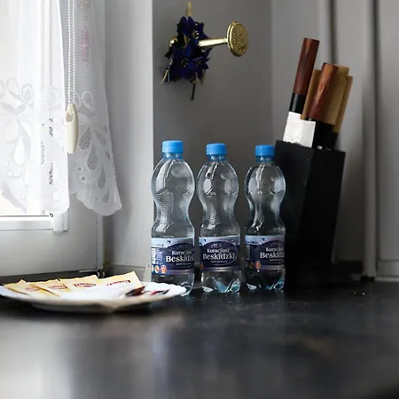 Apartment Szczepin Spacious By Bookinghost Breslau